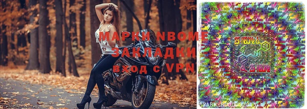 PSILOCYBIN Михайлов