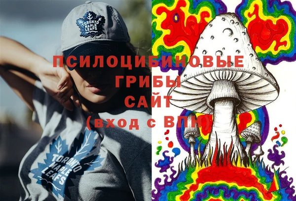 PSILOCYBIN Михайлов