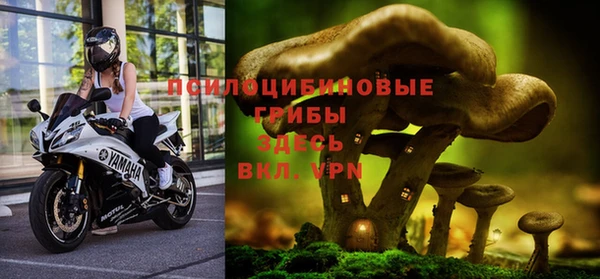 PSILOCYBIN Михайлов