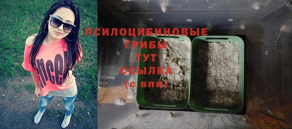 PSILOCYBIN Михайлов