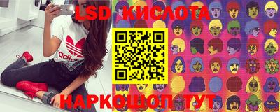 эйфоретик Аргун