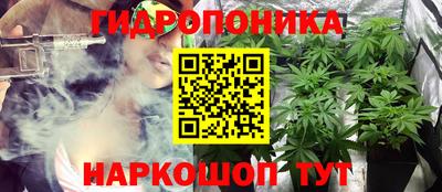 a pvp Дубна