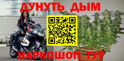 a pvp Дубна