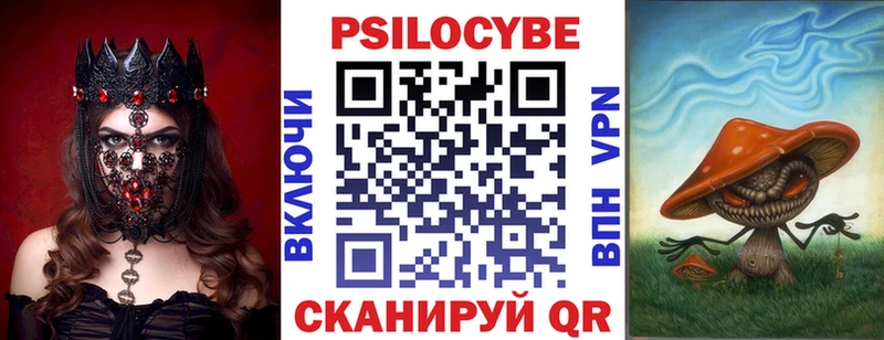 Псилоцибиновые грибы Psilocybine cubensis  Купить закладки  Новотроицк 