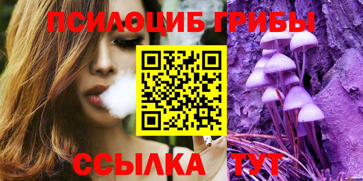 Псилоцибиновые грибы ЛСД  Новотроицк 