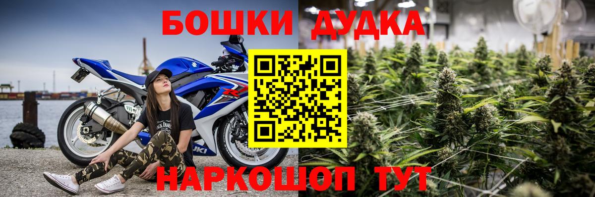 Канабис семена Новотроицк